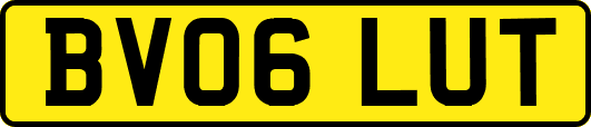 BV06LUT