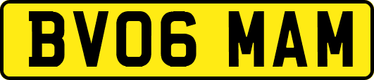 BV06MAM