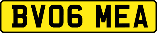 BV06MEA