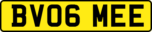 BV06MEE