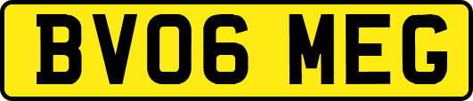 BV06MEG