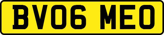 BV06MEO