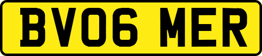 BV06MER