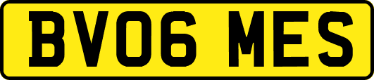 BV06MES