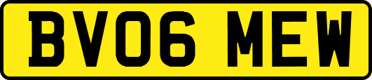 BV06MEW