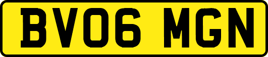 BV06MGN