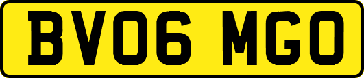 BV06MGO