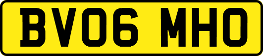 BV06MHO