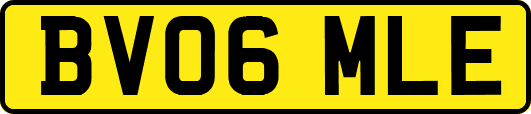 BV06MLE