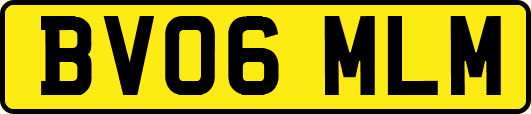 BV06MLM