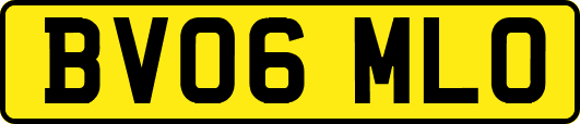 BV06MLO