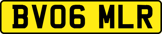 BV06MLR
