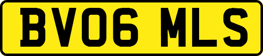 BV06MLS