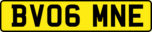 BV06MNE