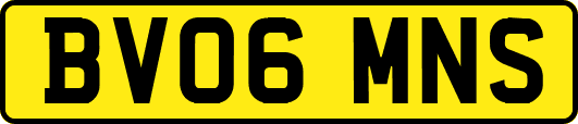 BV06MNS
