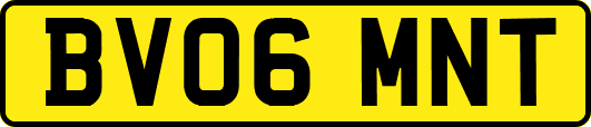 BV06MNT