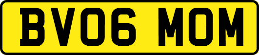 BV06MOM