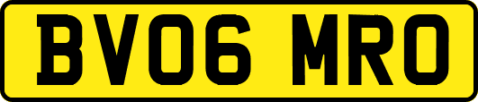 BV06MRO