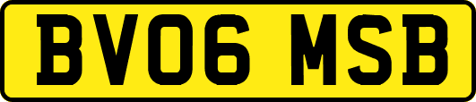 BV06MSB