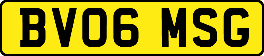 BV06MSG