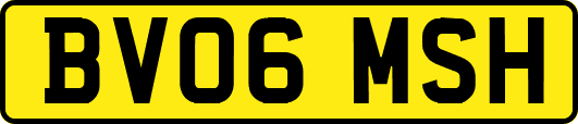 BV06MSH