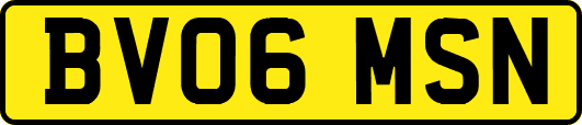 BV06MSN