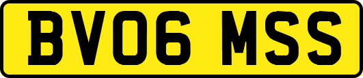 BV06MSS