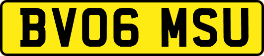 BV06MSU