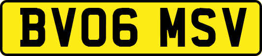 BV06MSV