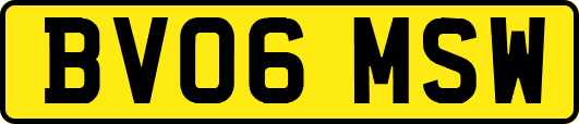 BV06MSW