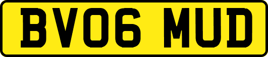 BV06MUD