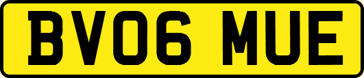 BV06MUE