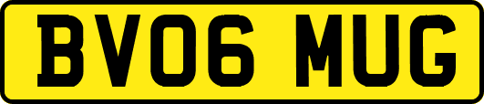 BV06MUG