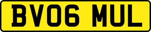 BV06MUL
