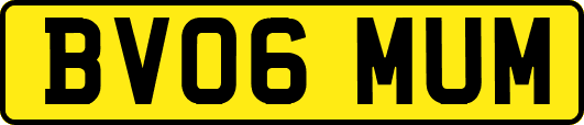 BV06MUM