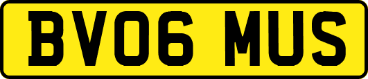 BV06MUS