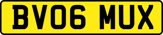 BV06MUX