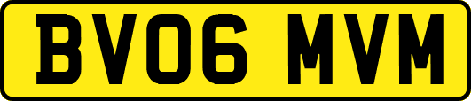 BV06MVM