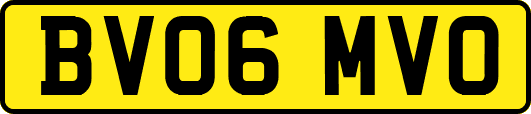BV06MVO