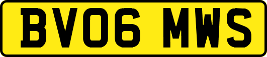 BV06MWS