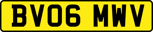 BV06MWV