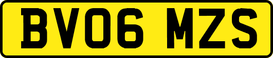 BV06MZS