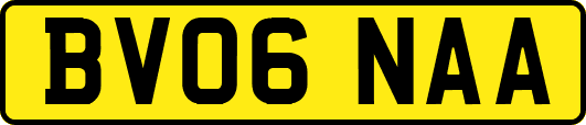 BV06NAA