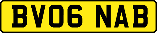 BV06NAB