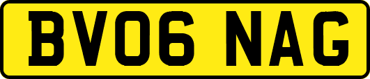 BV06NAG
