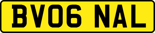 BV06NAL