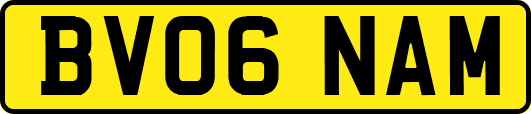 BV06NAM