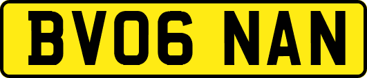 BV06NAN