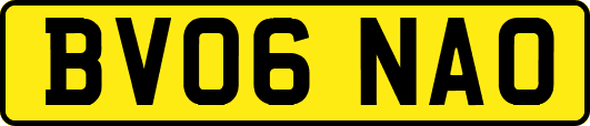 BV06NAO