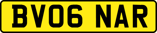 BV06NAR